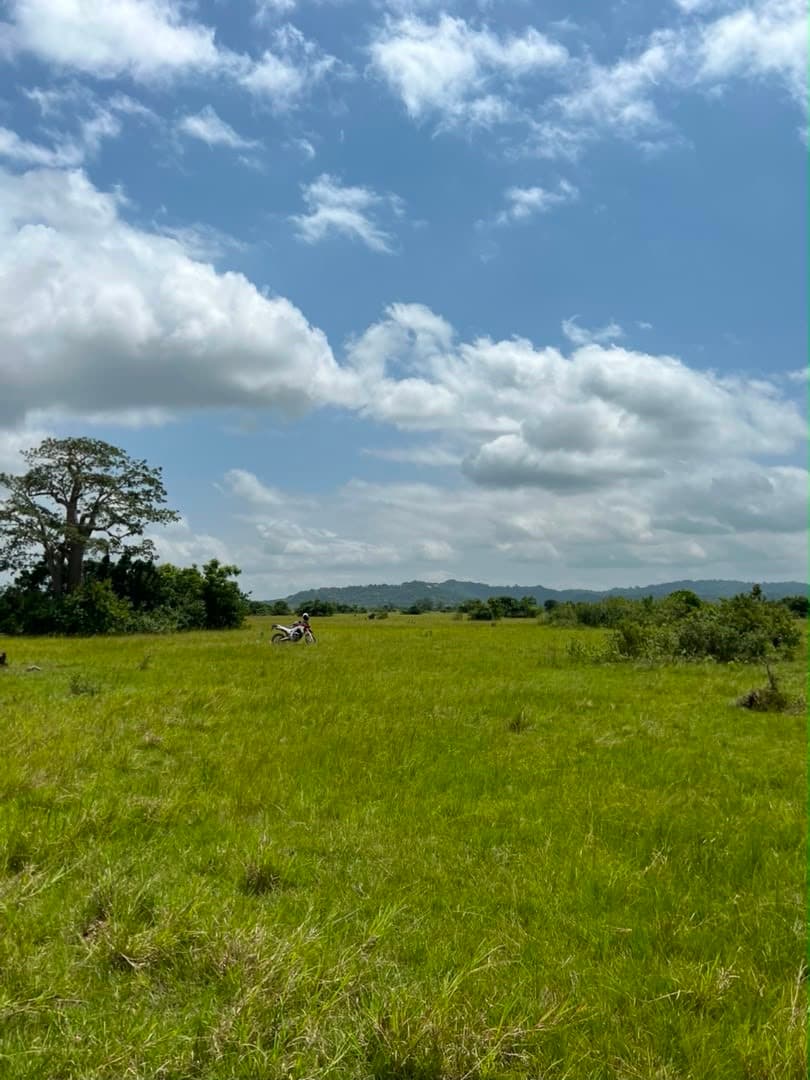 Shai hills