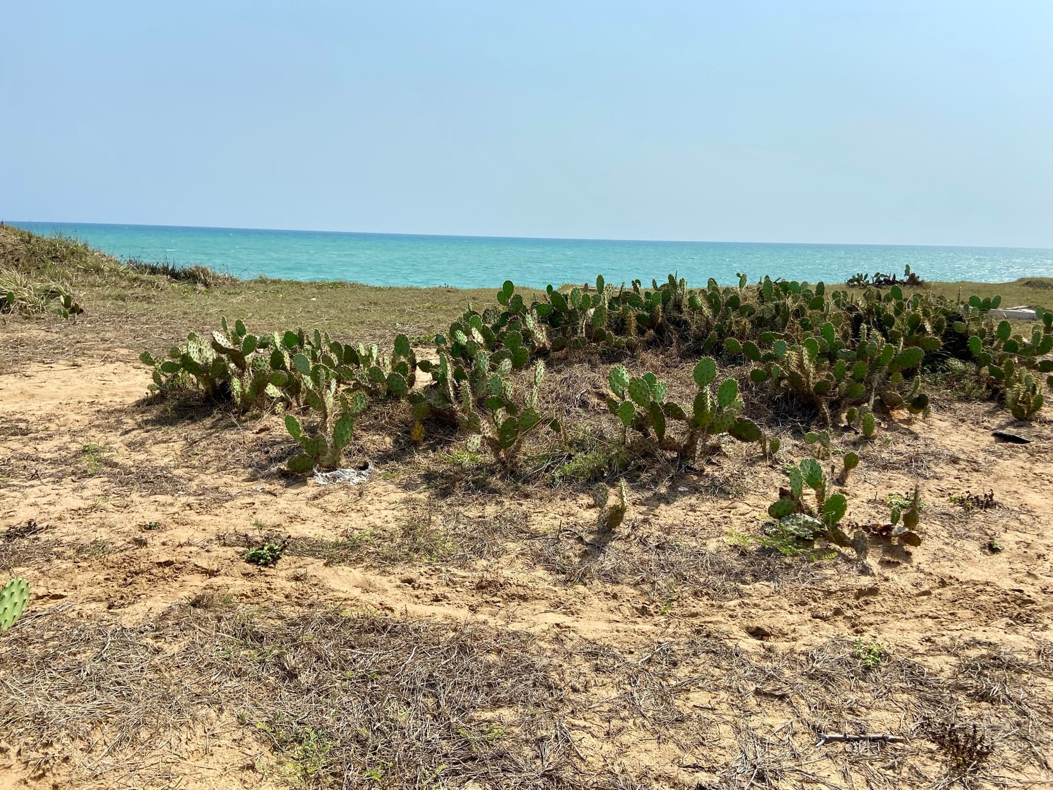 Exclusive Title-Registered Beachfront Land | Ningo Kpongunor, Prampram photo 2
